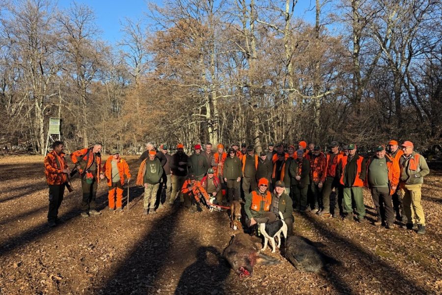 LOV NA CRESU ZA UL „DAMA DAMU“